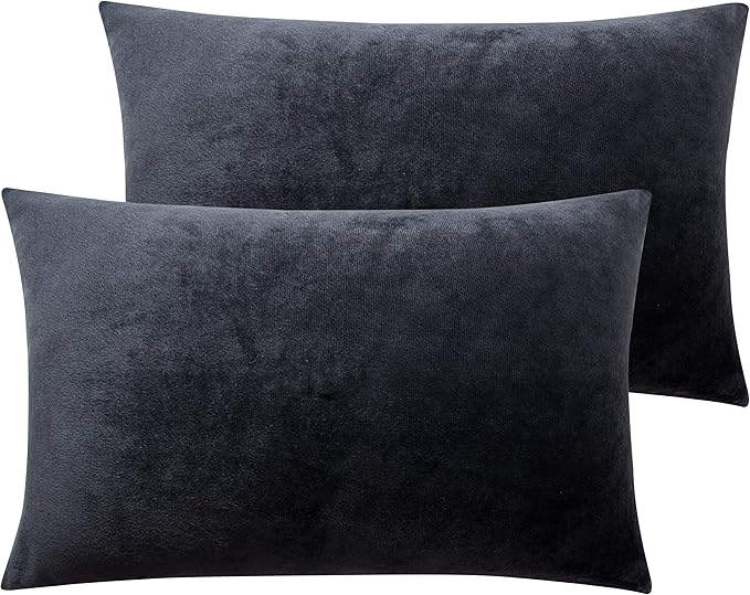 2-Pack Zippered Velvet Queen Pillowcases, Ultra Soft and Comfortable Luxurious Plush Flannel Pillowcases with Zipper, 20x30 Inches, Charcoal Gray