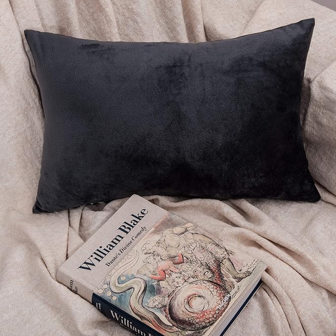 2-Pack Zippered Velvet Queen Pillowcases, Ultra Soft and Comfortable Luxurious Plush Flannel Pillowcases with Zipper, 20x30 Inches, Charcoal Gray
